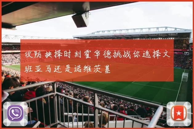 攻防抉择时刻霍华德挑战你选择文班亚马还是诺维茨基