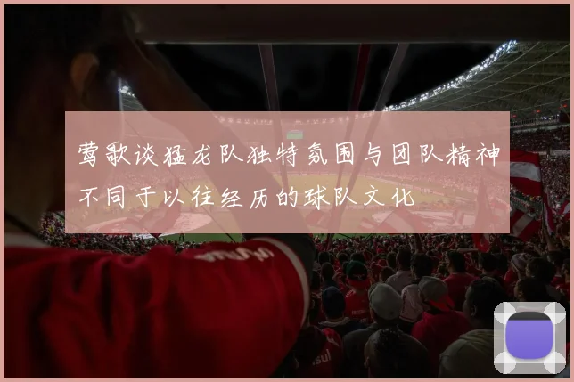 莺歌谈猛龙队独特氛围与团队精神不同于以往经历的球队文化
